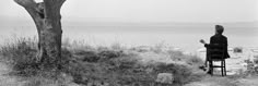 a man sitting in a chair next to a tree near the ocean with sheep grazing nearby