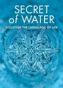 the book cover for secret of water, which features an image of a snowflake