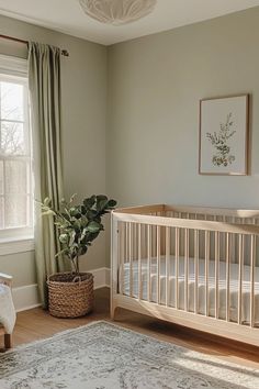 A calming nursery featuring a mix of beige and cream tones. The room includes a cream-colored crib, beige curtains, and a plush rug. The walls are a soft, neutral shade, and the space feels warm and welcoming with soft natural light. Nursery Colours Neutral, Small Nursery Guest Room, Soothing Nursery Ideas, Walnut Nursery Decor, Neutral Nursery Minimalist, Neutral Sage Green Nursery, Master And Nursery Shared, Relaxing Nursery Ideas, October Mist Nursery