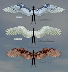 three wings with different shapes and sizes in the middle one has an angel's wing on it