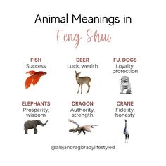 an animal meanings chart with different animals and their names