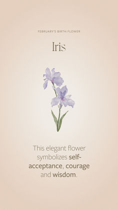 a purple flower with the words iris on it's front and bottom corner in english