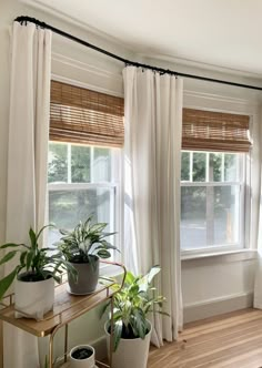 some plants are sitting on a table in front of two windows with white drapes