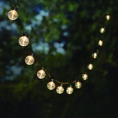 some lights are hanging from a string in front of trees at night with no one around them