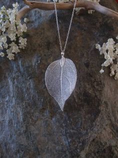 This beautiful necklace is made with a real leaf dipped in silver. The amazing delicate details of the leaf has been preserved by the electroforming process creating a beautiful and unique gift of nature. This necklace is durable, lightweight and very elegant. These real leaves are from the evergreen Rudraksha tree. Each leaf is unique, therefore, please expect a small variation from the leaves on the photographs. I try my best to match them as closely as possible. The leaves are around 2 inches Handmade Elegant Leaf-shaped Necklace, Handmade Sterling Silver Leaf-shaped Necklace, Elegant Handmade Leaf Necklace, Silver Leaf-shaped Necklace Gift, Silver Leaf-shaped Necklace For Gift, Silver Leaf-shaped Necklaces For Gift, Handmade Leaf-shaped Wedding Jewelry, Elegant Sterling Silver Leaf-shaped Necklace, Silver Leaf-shaped Jewelry