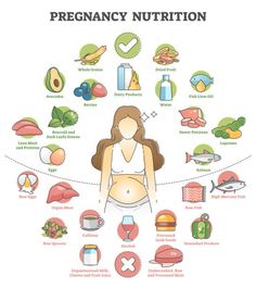 Healthy Eating Plate, Raw Cheese, Human Body Organs, Dark Leafy Greens, Pregnancy Nutrition, Pregnancy Food, Processed Meat, Body Organs, Food Products