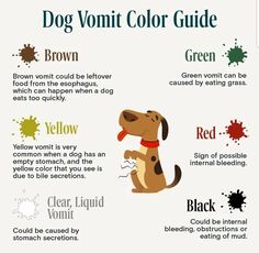 the dog's color guide is shown in this graphic diagram, which shows how to use