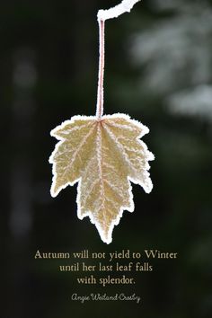 an autumn leaf hanging from a branch with a quote on it that reads, autumn will not yield to winter until her last leaf falls with splendor