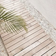 a wooden walkway next to a building with a palm tree on the side and gravel around it