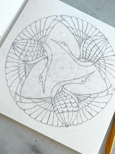 a pencil drawing of a bird in the middle of a circular design on white paper