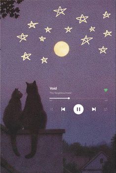 two cats sitting on top of a roof next to each other with stars in the sky