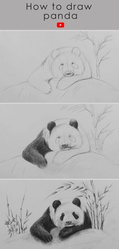 Panda Drawing with Sketch Easy Painting Ideas With Pencil, Panda Bear Drawing Easy, Sketching Step By Step Pencil, Step By Step Panda Drawing, Panda Line Drawing, How To Draw A Panda Easy, Panda Drawing Easy Step By Step, Pencil Sketch Tutorials Step By Step