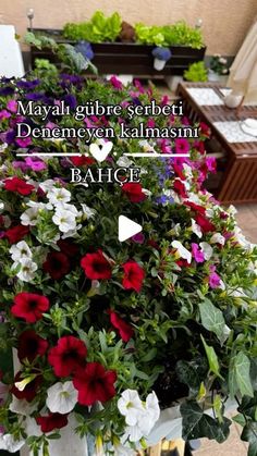 colorful flowers are growing in the potted planter on the balcony with text overlay that reads, mavali guide serbet denemen kelemen kalmasmi