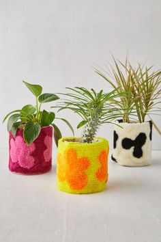 three potted plants in different colors and shapes on a white surface with one planter