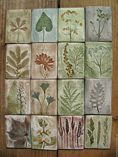 nine tiles with different types of plants on them