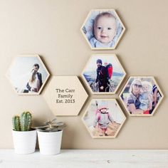 hexagon shaped photo frames on the wall with family photos attached to them and cactus in pot