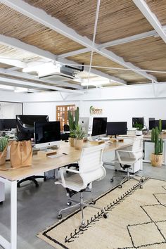 an office with multiple computers and plants on the desk, along with rugs in front of them