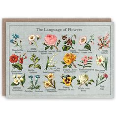 the language of flowers is shown in this old postcard from the early 1900's