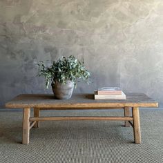 a wooden coffee table with a potted plant on top and books on the bottom