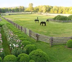 three horses are grazing in the grass behind a fenced in area with flowers and shrubs