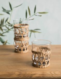 two glass vases sitting on top of a wooden table next to a potted plant