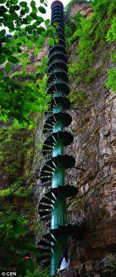 a spiral staircase in the middle of a forest