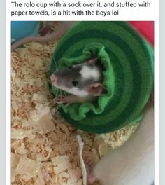 a hamster in a green sweater sitting on top of a pile of shredded wood