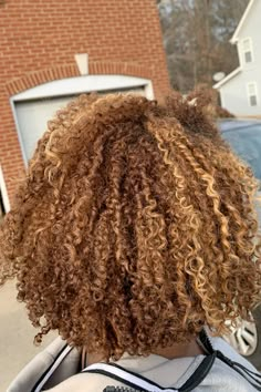 my favorite hair color i've ever had. it grew out so natural lookinh Honey Blonde Hair On 4c Hair, Honey Brown Hair Color Black Women Curly, Honeyed Blonde Hair, Honey Blonde Hair On Mixed Women, Honey Blonde Mini Twists, Natural Hair Honey Brown, Honey Blonde Hair With Blonde Highlights, Blonde 4a Hair, Black Hair With Honey Blonde Highlights