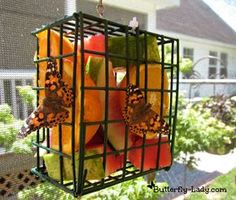 a bird feeder filled with lots of fruit on top of a porch next to a house