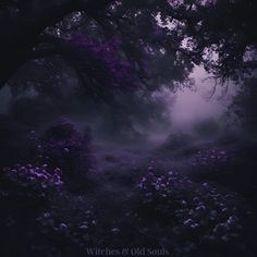 a dark forest with purple flowers in the foreground and fog on the ground behind it