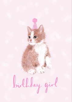 a cat with a pink hat on its head and the words, birthday girl written below it