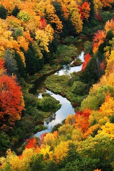 an aerial view of a river surrounded by trees in the fall with orange, yellow and red leaves