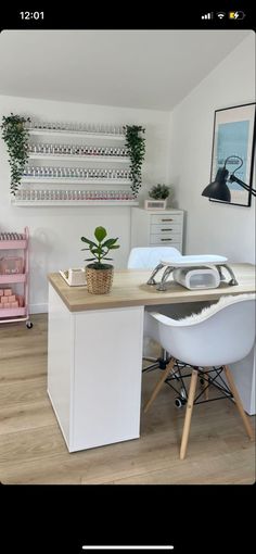 a desk with two chairs and a potted plant