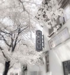 White Pictures Aesthetic, White Asthetics Wallpaper, White + Core + Aesthetic, Blanc Aesthetic, White Aesthetic Icon, White Background Aesthetic, Japan Core, Soft Pink Theme, Light Blue Aesthetic