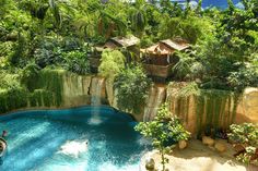 an outdoor swimming pool surrounded by trees and greenery, with a waterfall in the middle