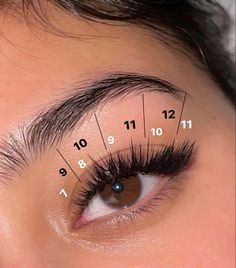 L Curl Lashes, Curl Lashes, Mixed Use, Volume Lashes, Lash Artist, Wet Look