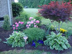 the garden is full of colorful flowers and trees