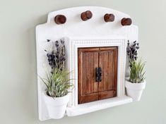 two potted plants are sitting on a wall with a wooden door in the middle