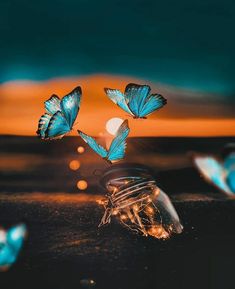 three blue butterflies flying in the air above a light bulb and some lights on top of it