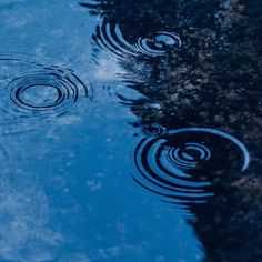 water ripples on the surface of a pond