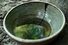 a small bowl sitting on the ground next to a tree