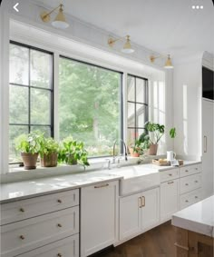 a kitchen filled with lots of white counter top space next to a window covered in potted plants