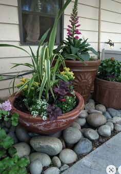 three pots with plants in them sitting on the side of a house next to some rocks