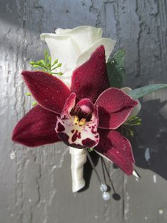 a red and white flower with water droplets on it