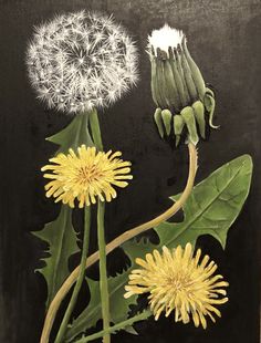 a painting of dandelions and leaves on a black background