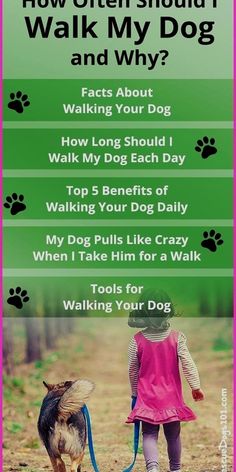 a girl walking her dog on a leash with the caption how often should i walk my dog and why?