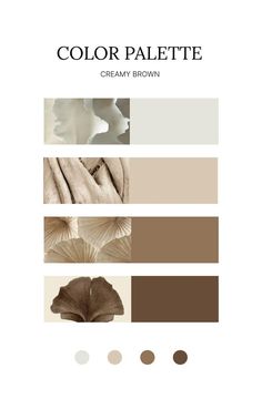 the color palette for creamy brown