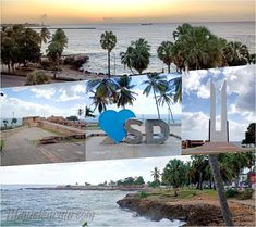 the collage shows several different locations along the beach and in front of the ocean