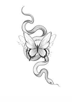 a drawing of a snake wrapped around a butterfly