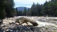 a river with rocks and trees in the background